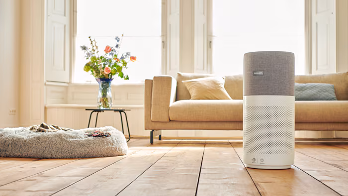 Can Air Purifiers Make You Sick? The Definitive Guide