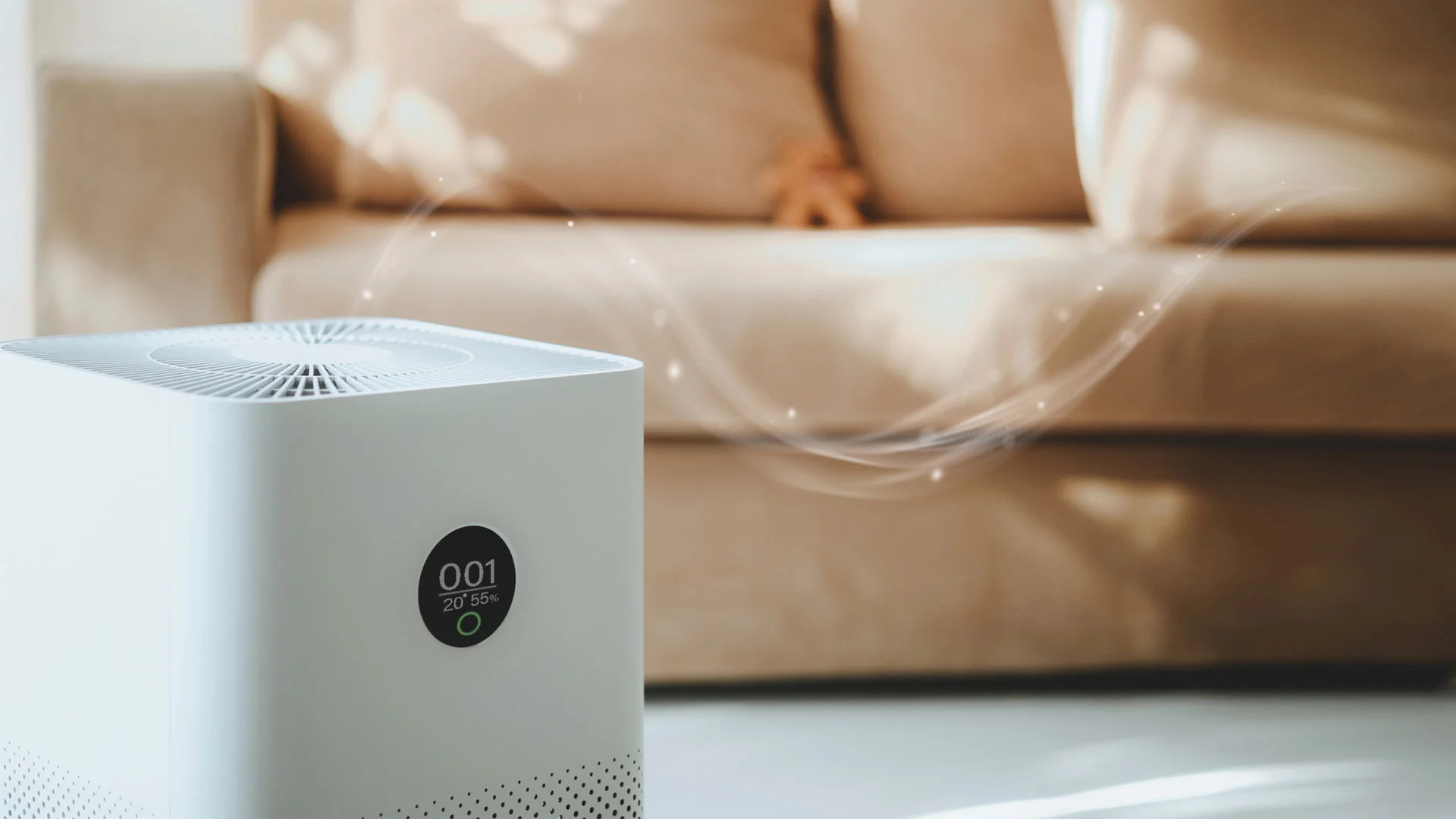 Should You Sleep With an Air Purifier On? The Expert Answer