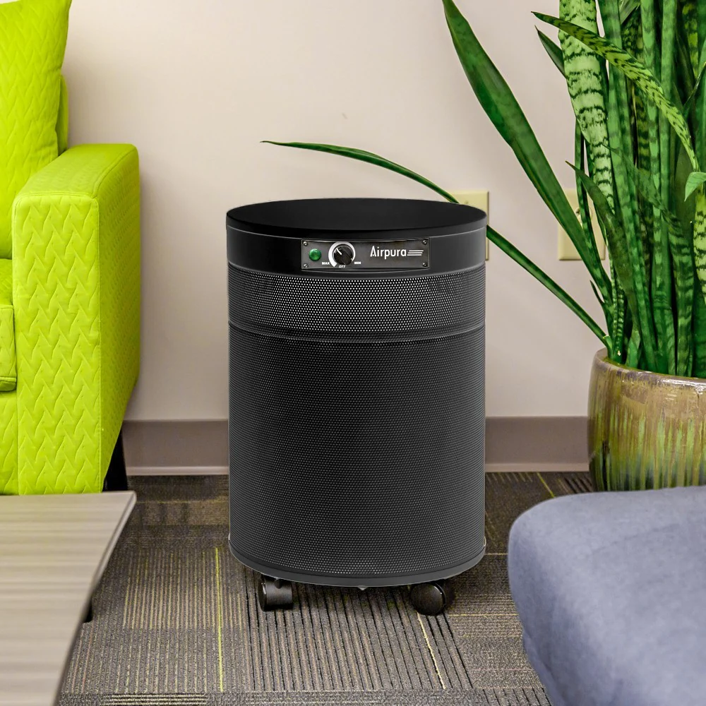 Do I Need an Air Purifier in Every Room? The Ultimate Guide