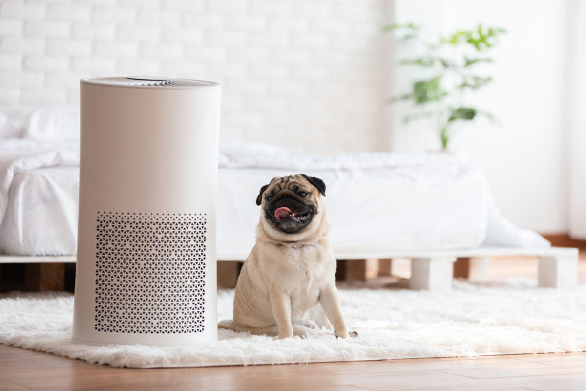 Best Type of Air Filter: 3 Core Technologies Explained