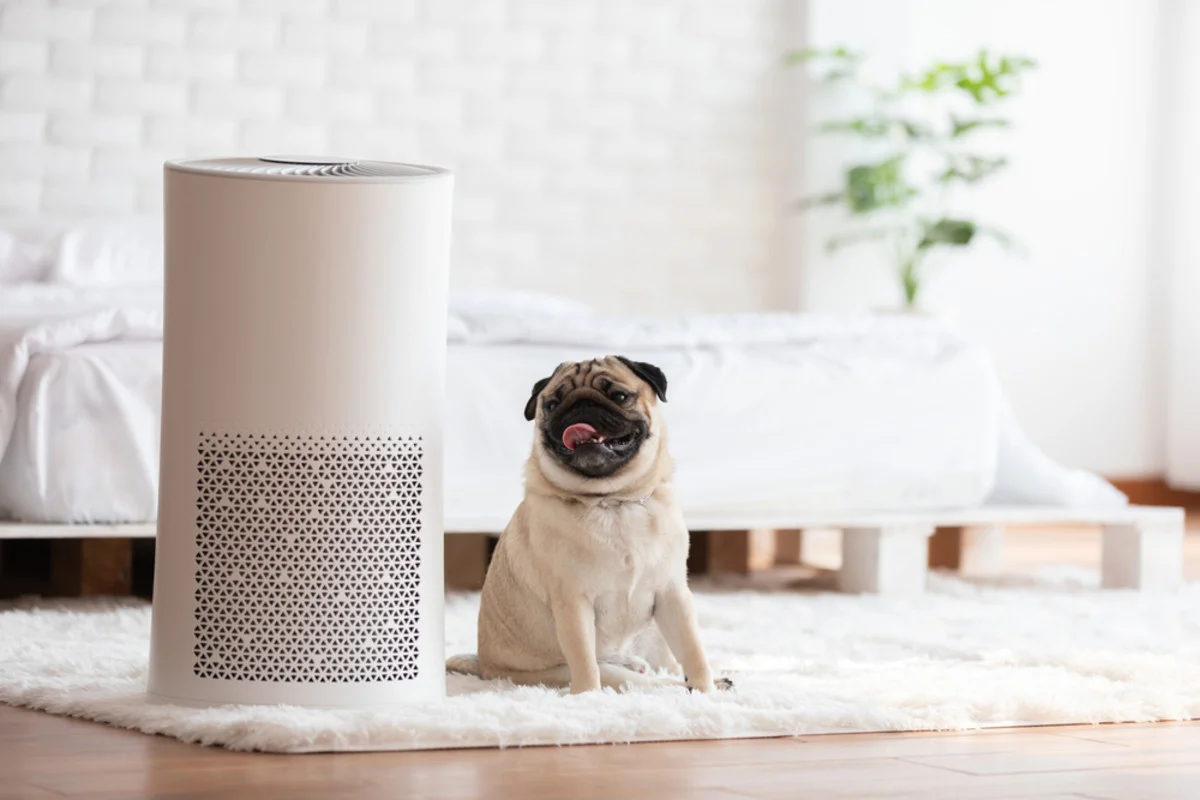 Air purifier with multi-stage filtration system