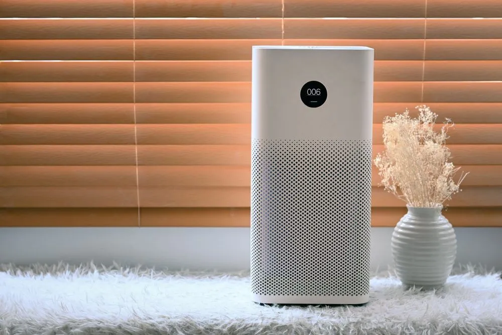 Air Purifier Remove Cooking Smells? 5 Key Factors