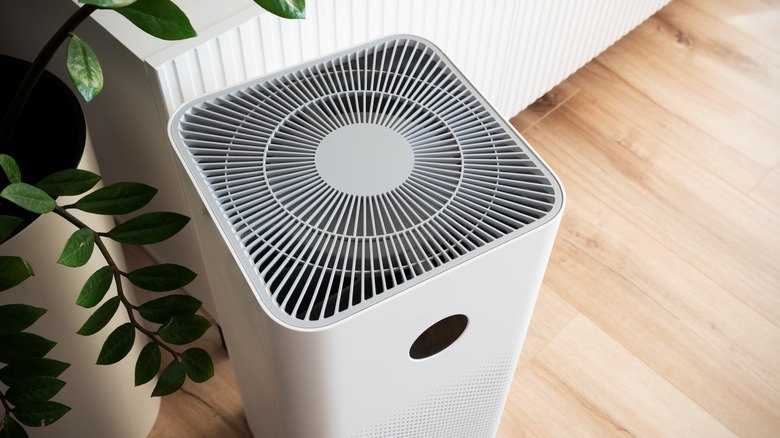 How to Use a Levoit Air Purifier: The Ultimate Guide