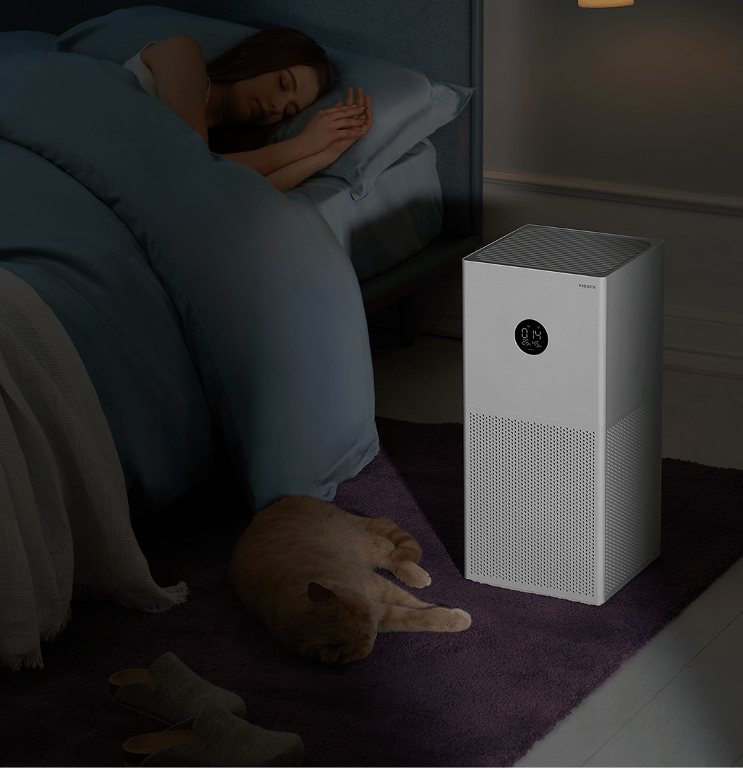 Using an Air Purifier in the Winter: A Complete Guide