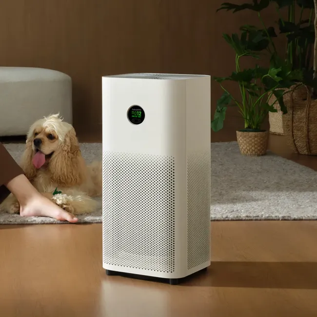 Best Air Purifier 2025: Top 5 for Clean Air